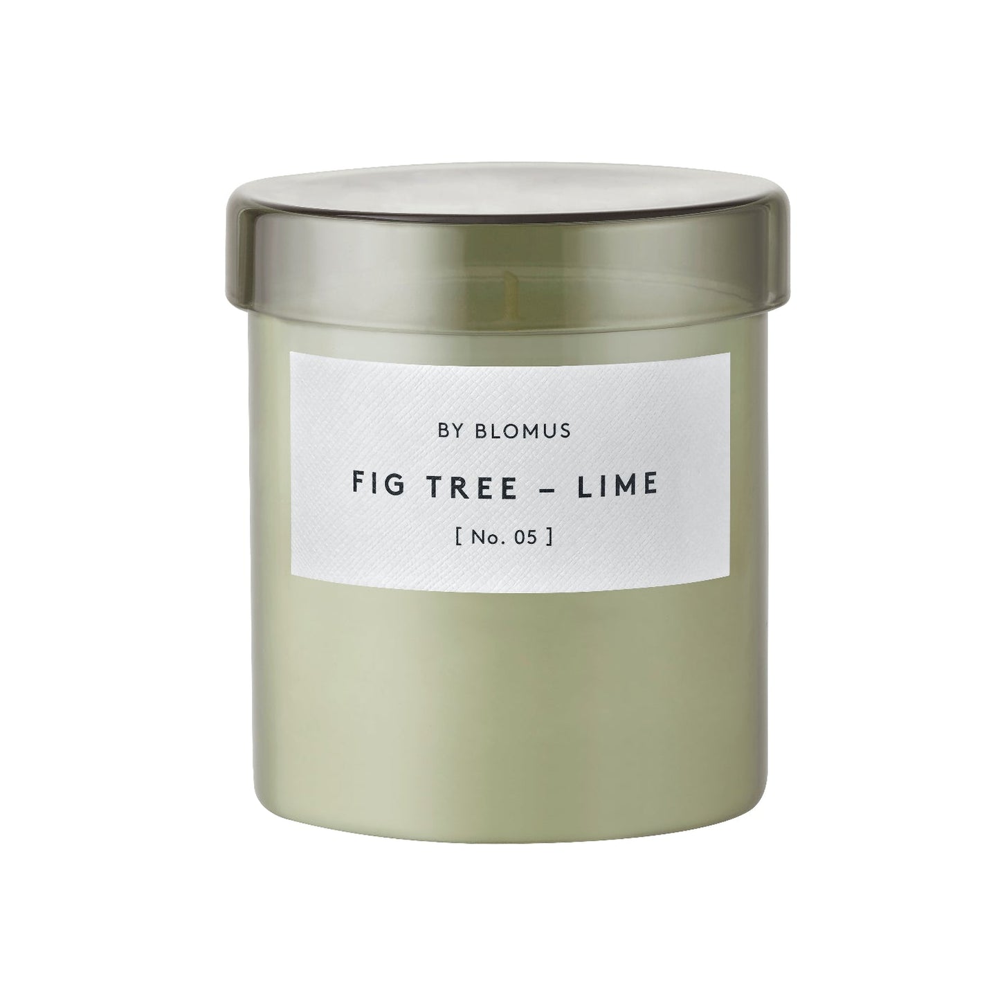 VALOA Agave Green Fig Tree and Lime scented candle, large