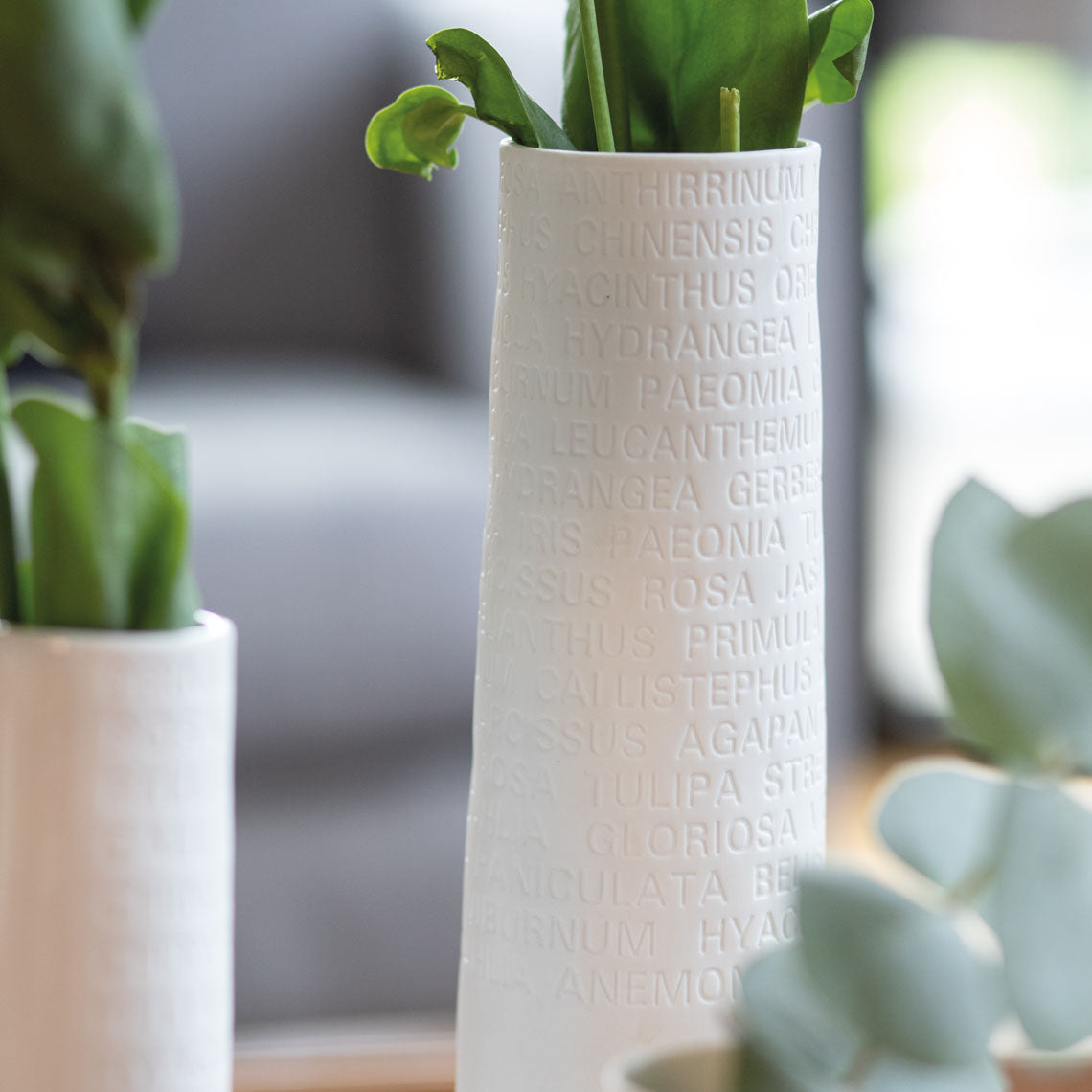 A Poetic Space White Porcelain Flower Vase with Embossed Flower Names Decoration product image