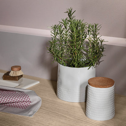 A Poetic Space White Porcelain Herb Pot Planter - White Minimalist Design for Herbs and Plants product image