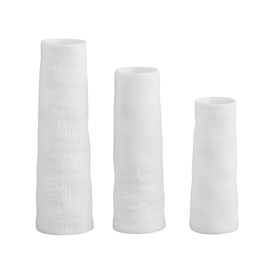 A Poetic Space White Porcelain Mini Vase Set of 3 with Embossed Flower Name Decoration