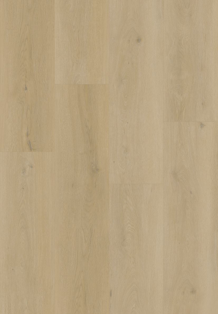 Amber Oak SPC Flooring – DF-0104 color swatch