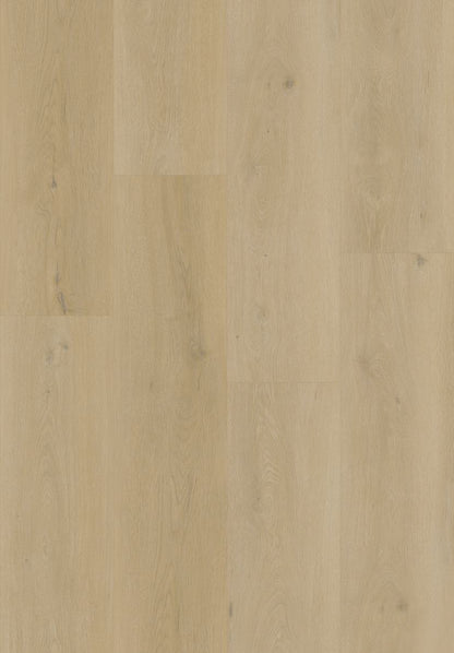 Amber Oak SPC Flooring – DF-0104 color swatch
