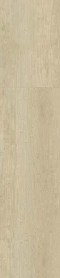 Cream Oak SPC flooring sample