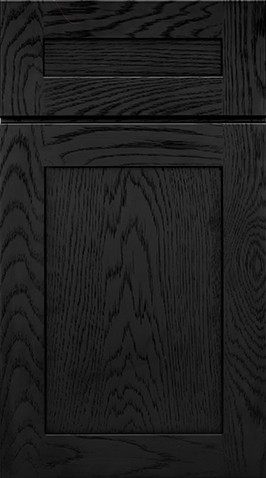 Parriott Shaker Black cabinet sample door