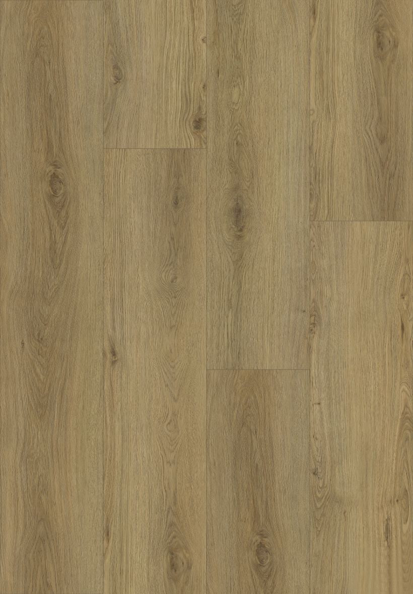 Sable Oak SPC flooring sample