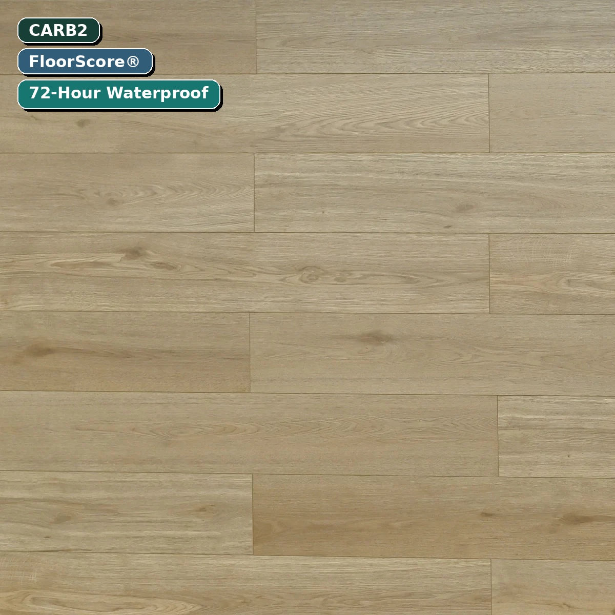 12mm Melrose – Laminate Flooring (TF6612-F) laminate flooring — CARB2, FloorScore certified, 72-hour waterproof