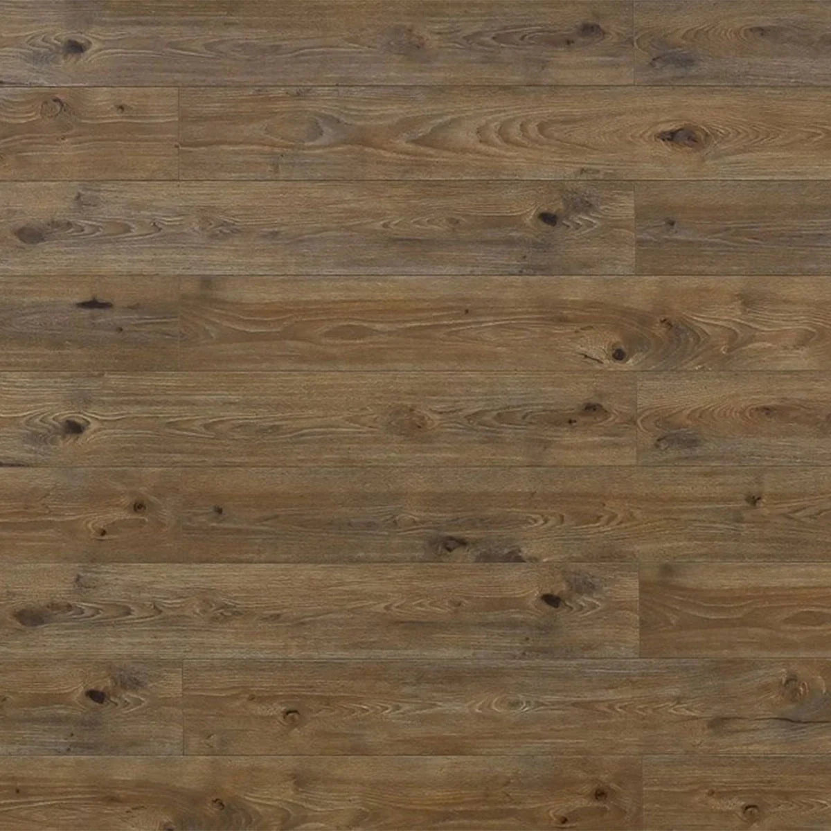 TF8002 | Bovine / TF8002 laminate flooring detail