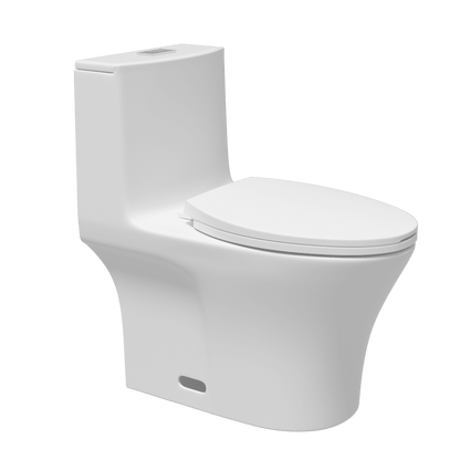 One-Piece Toilet 1.1GPF/1.6 GPF Siphon Jet Dual Flushing with Toilet Seat