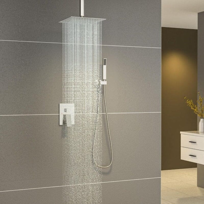 Shower System 2-Spray Patterns Dual Shower Heads with 10 in. Rain Ceiling Mount