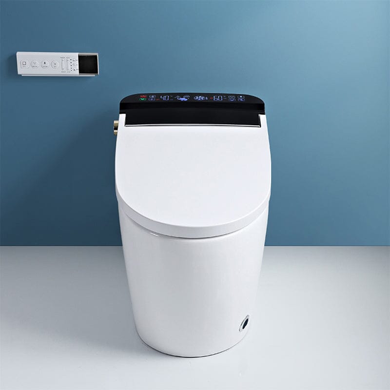 Elongated One-Piece Floor Mounted Smart Toilet with Built-in Water Tank