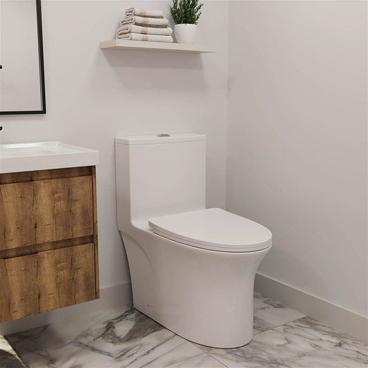 Modern Dual Flush Elongated Standard One Piece Toilet with Comfortable Seat Height