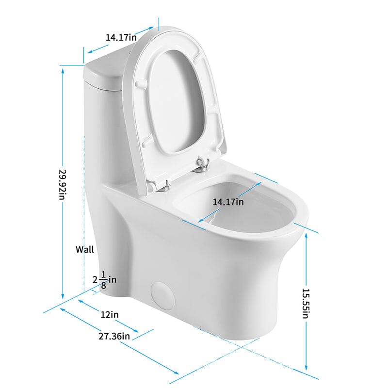 One-Piece Elongated Toilet Silent Siphon Jet Double Flushing with Bidet Sprayer