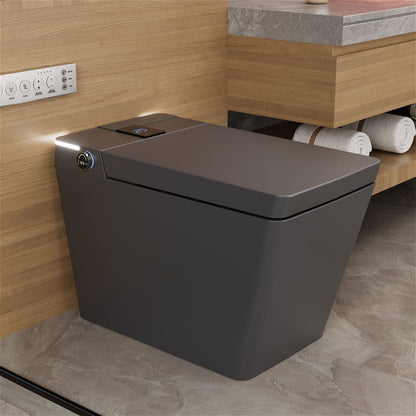 One-Piece Floor Mounted Square Smart Toilet with Remote Control and Automatic Cover