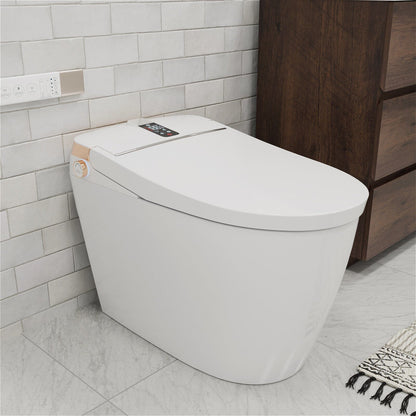 Elongated One-Piece Floor Mounted Smart Toilet with Remote Control and Automatic Cover