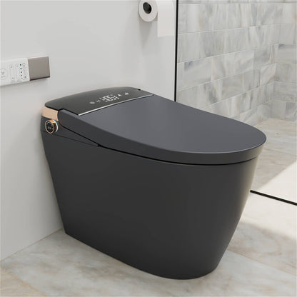 One Piece Smart Toilet with Bidet Built in, LED Night Light, Heated Seat, Warm Water