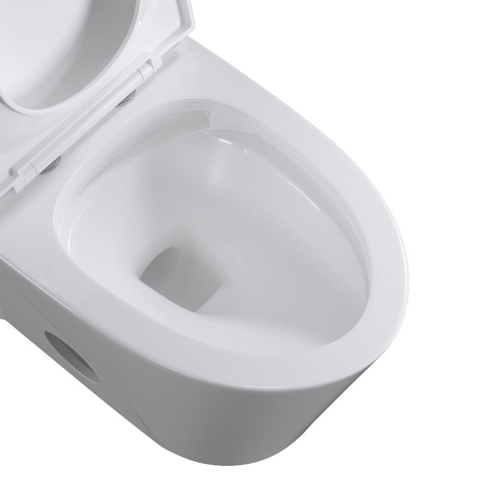 One Piece 1.1GPF/1.6 GPF Dual Flush Elongated Toilet