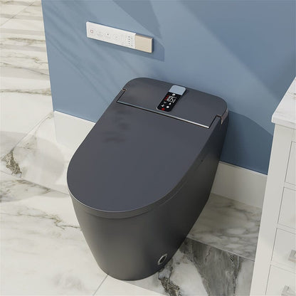 Elongated One-Piece Floor Mounted Smart Toilet with Remote Control and Automatic Cover