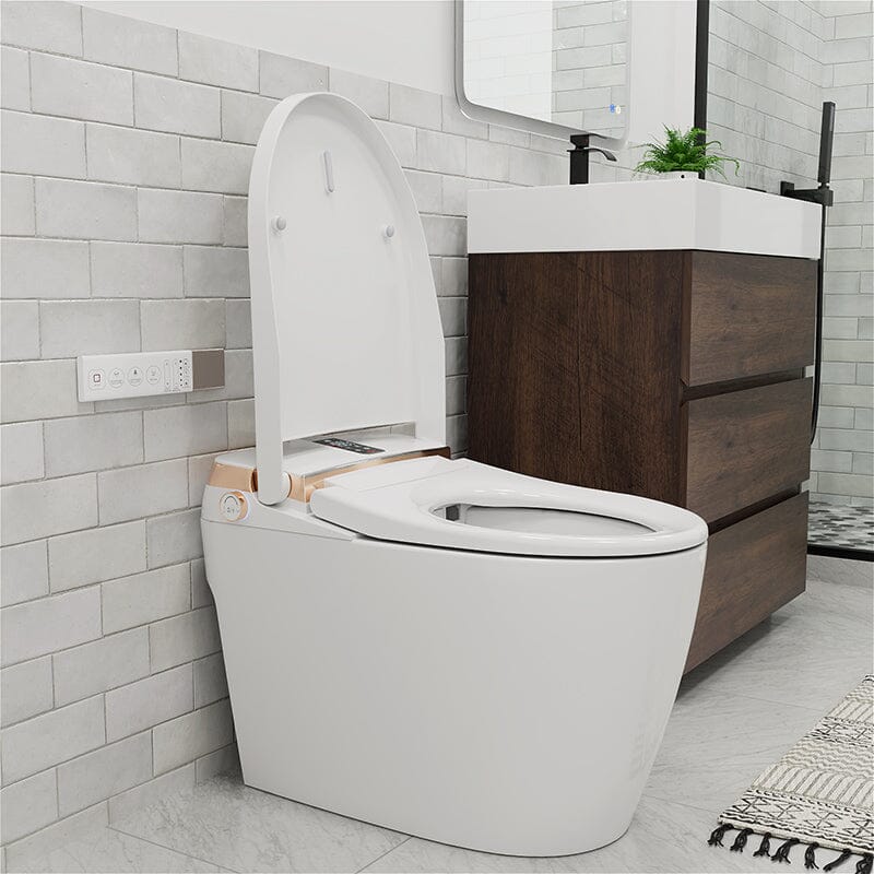 Elongated One-Piece Floor Mounted Smart Toilet with Remote Control and Automatic Cover