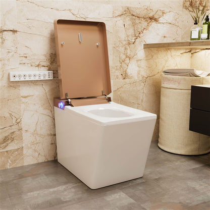 Smart Square One-Piece Floor Toilet with Remote Control and Automatic Cover