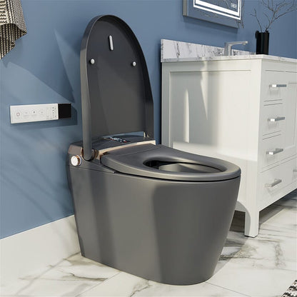 Elongated One-Piece Floor Mounted Smart Toilet with Remote Control and Automatic Cover