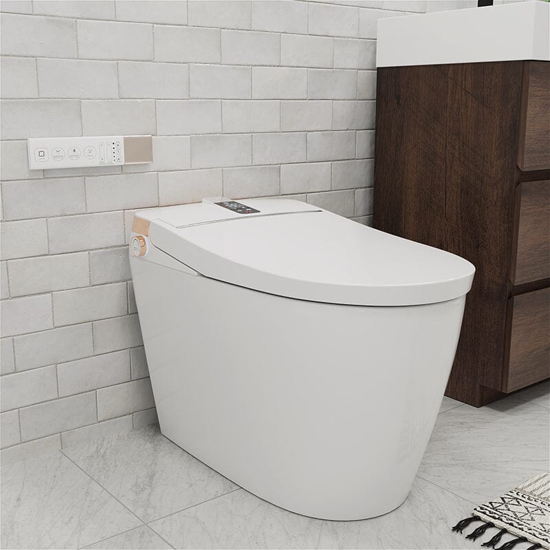 Elongated One-Piece Floor Mounted Smart Toilet with Remote Control and Automatic Cover