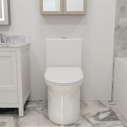 Siphonic Jet Dual Flush Elongated One Piece Toilet with Comfortable Seat Height