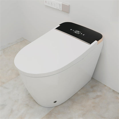 One Piece Smart Toilet with Bidet Built in, LED Night Light, Heated Seat, Warm Water