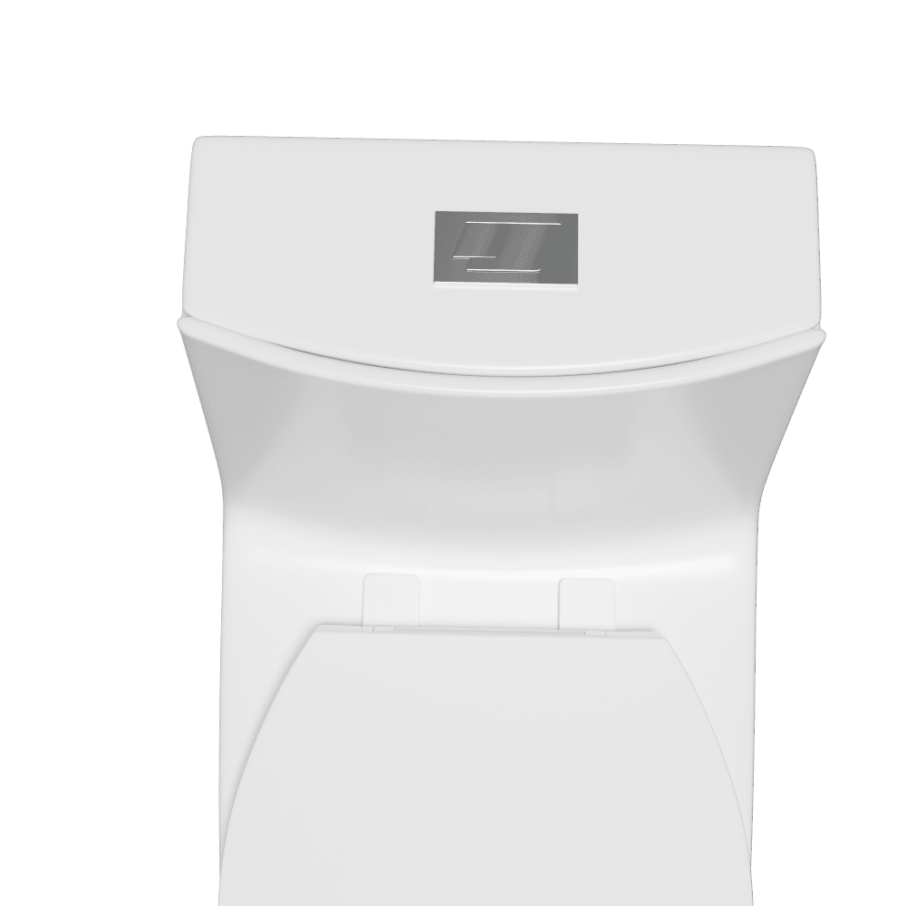 One-Piece Toilet 1.1GPF/1.6 GPF Siphon Jet Dual Flushing with Toilet Seat