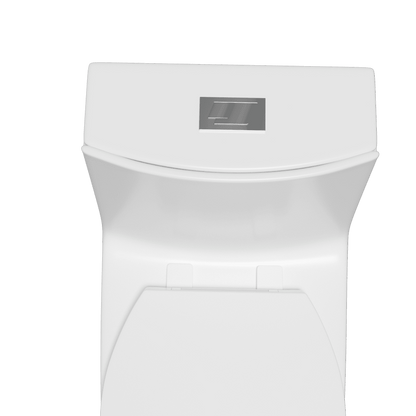 One-Piece Toilet 1.1GPF/1.6 GPF Siphon Jet Dual Flushing with Toilet Seat