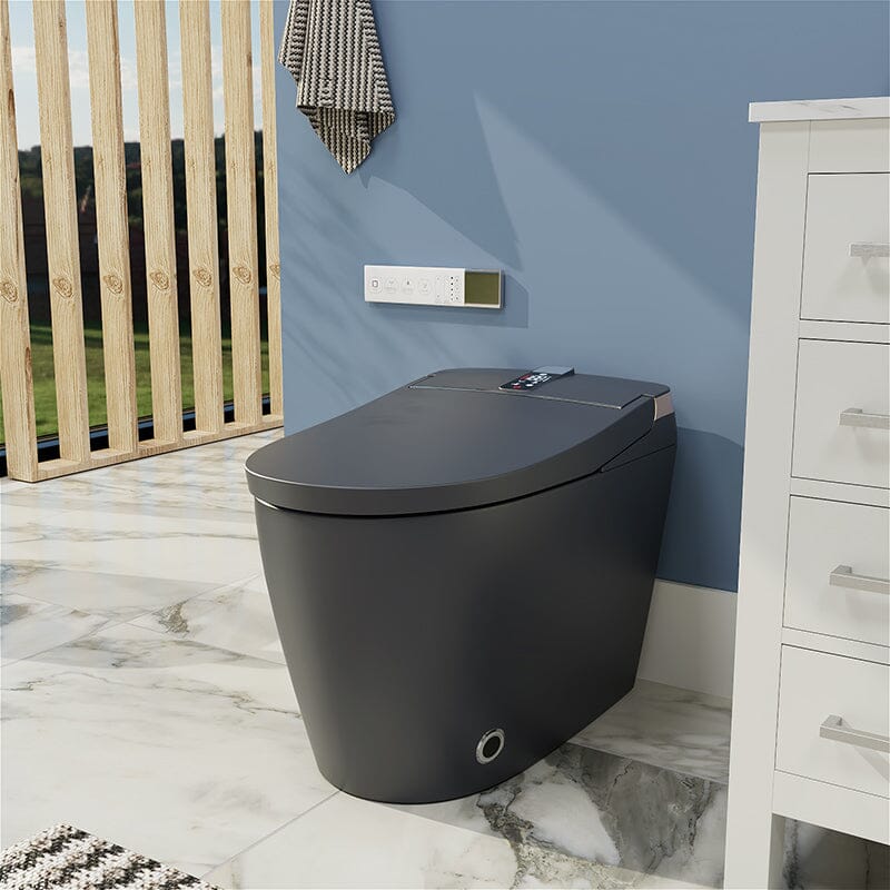 Elongated One-Piece Floor Mounted Smart Toilet with Remote Control and Automatic Cover