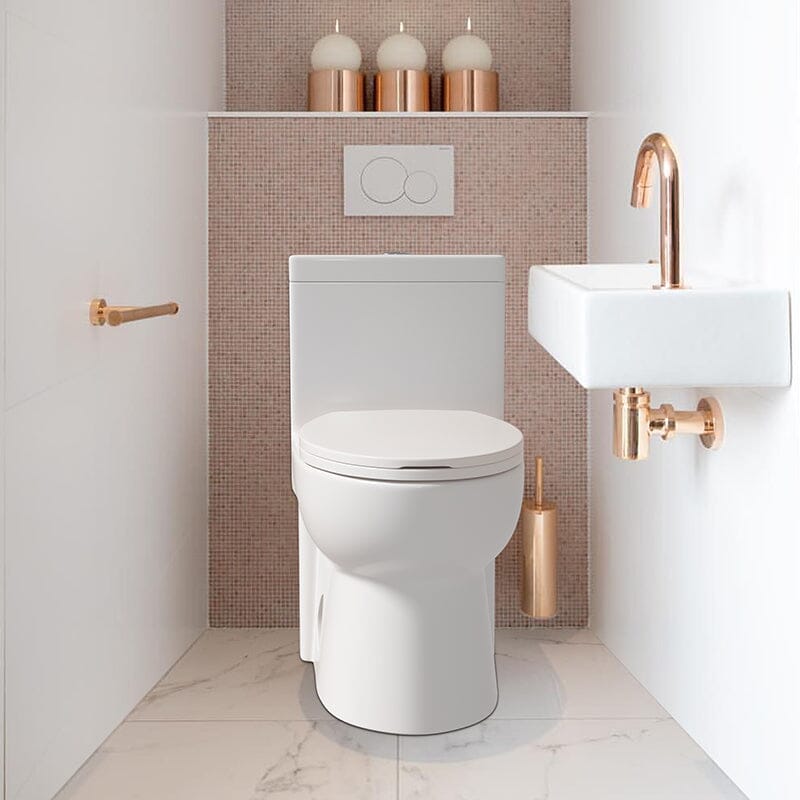 Powerful & Quiet Dual Flush Modern One Piece Toilet with Soft Closing Seat