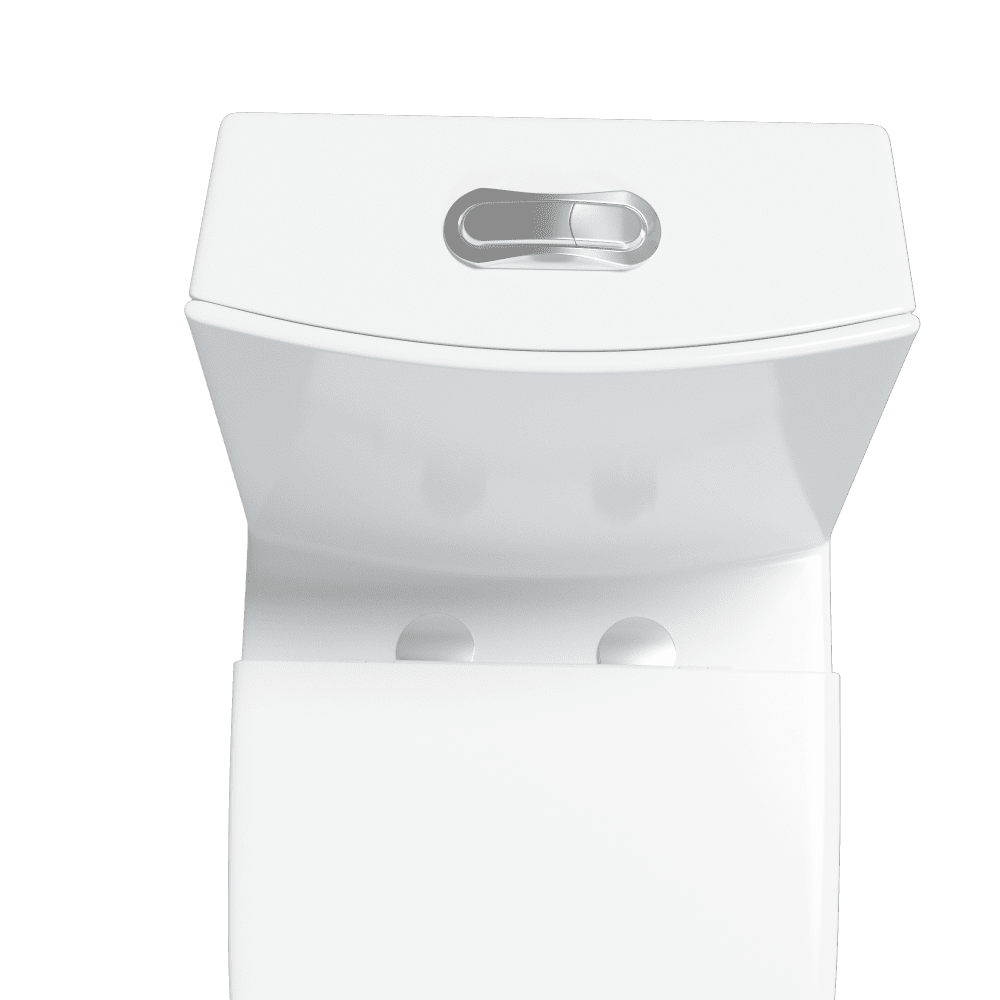 One Piece 1.1GPF/1.6 GPF Dual Flush Elongated Toilet