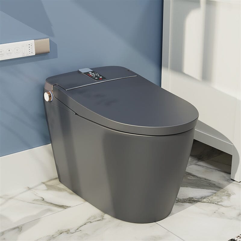 Elongated One-Piece Floor Mounted Smart Toilet with Remote Control and Automatic Cover