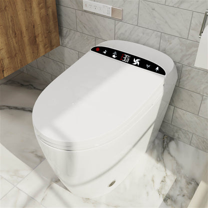 One-Piece Elongated Floor Smart Toilet with Remote Control and Automatic Cover