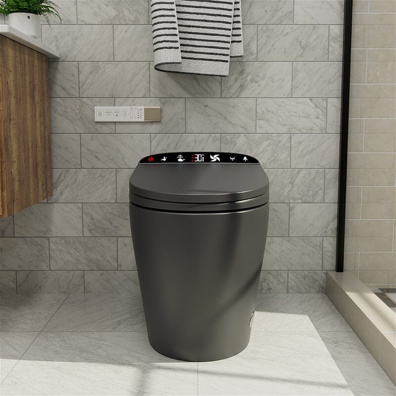 One-Piece Elongated Floor Smart Toilet with Remote Control and Automatic Cover