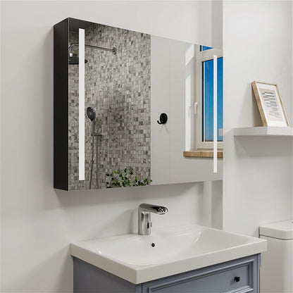 Rectangular Dimmable LED Lighted Medicine Cabinet with Mirror, Adjust Glass Shelves