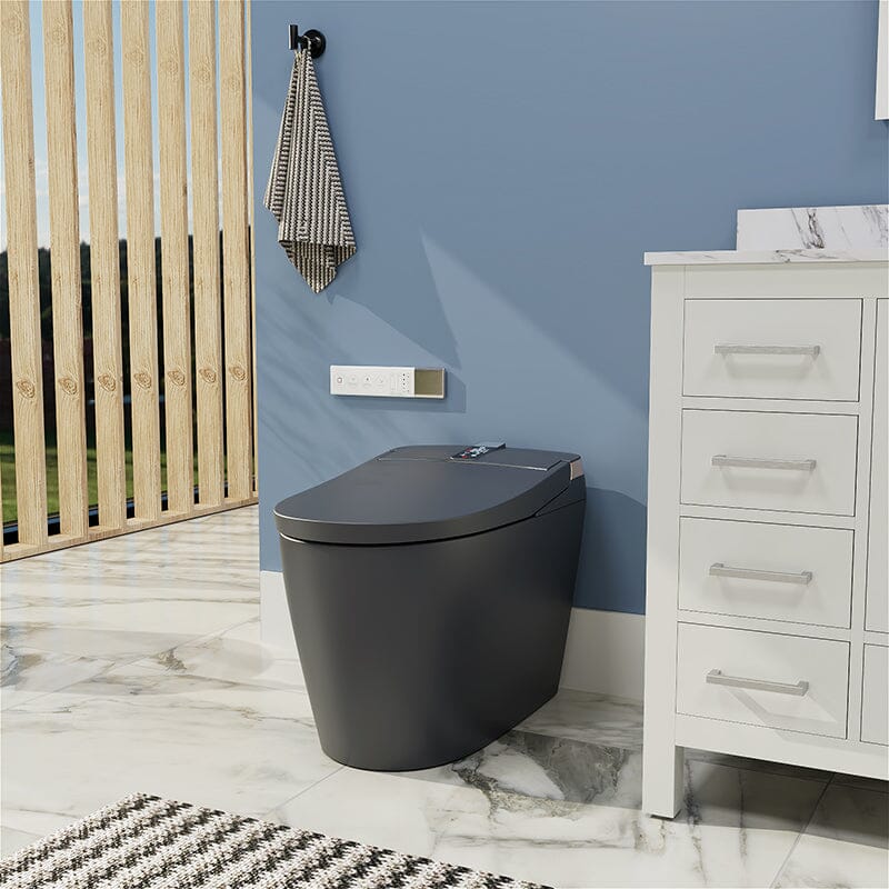 Elongated One-Piece Floor Mounted Smart Toilet with Remote Control and Automatic Cover