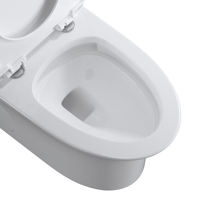 Modern Dual Flush Elongated Standard One Piece Toilet with Comfortable Seat Height