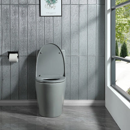 1.1/1.6 GPF Dual Flush One-Piece Floor Mount Elongated Toilet with Soft-Close Seat