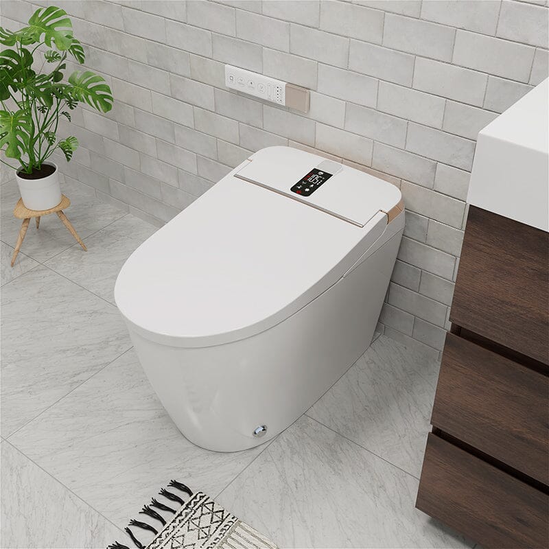 Elongated One-Piece Floor Mounted Smart Toilet with Remote Control and Automatic Cover