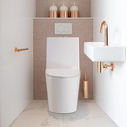 One Piece 1.1GPF/1.6 GPF Dual Flush Elongated Toilet