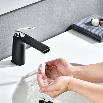 Modern Single Hole Single Handle Brass Bathroom Sink Faucet in Matte Black