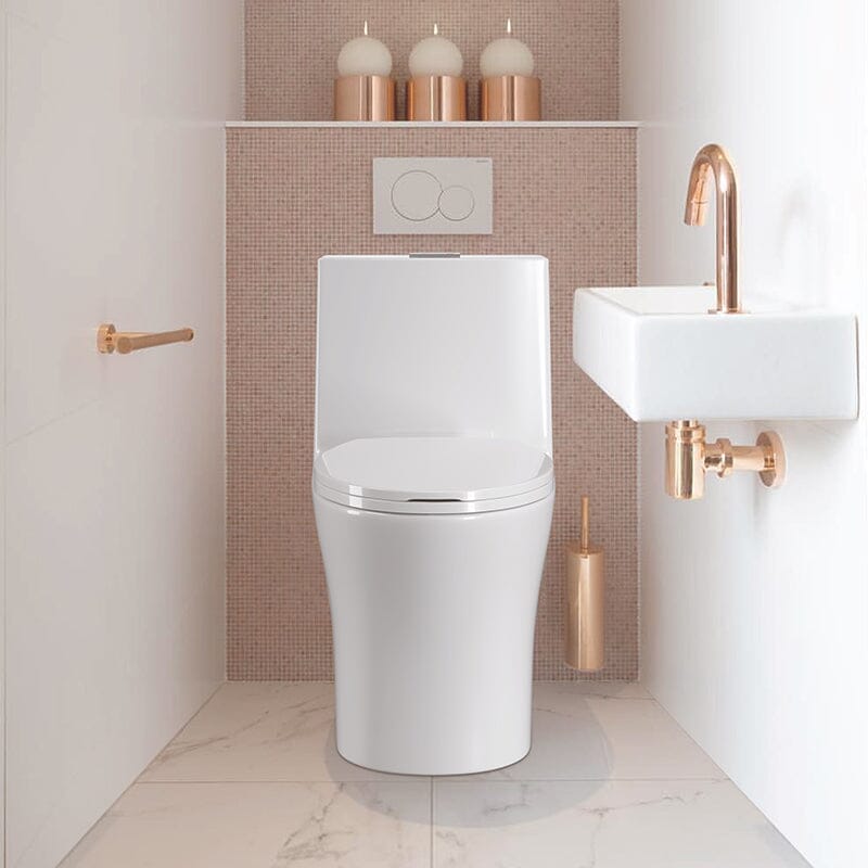 One-Piece Toilet 1.1GPF/1.6 GPF Siphon Jet Dual Flushing with Toilet Seat