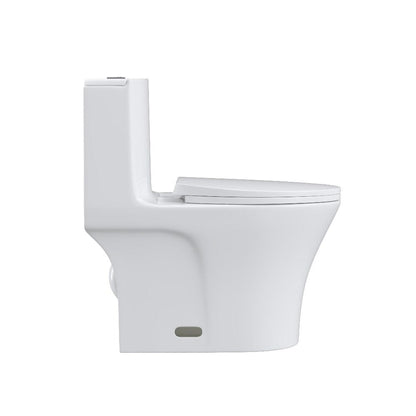 One-Piece Toilet 1.1GPF/1.6 GPF Siphon Jet Dual Flushing with Toilet Seat