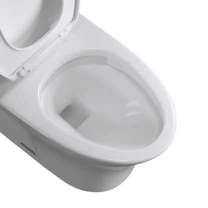 One-Piece Toilet 1.1GPF/1.6 GPF Siphon Jet Dual Flushing with Toilet Seat