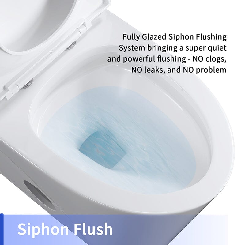 One Piece 1.1GPF/1.6 GPF Dual Flush Elongated Toilet