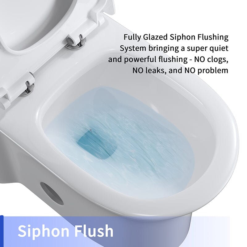 One-Piece Elongated Toilet Silent Siphon Jet Double Flushing with Bidet Sprayer