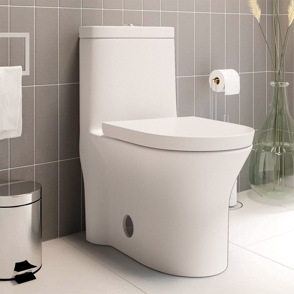 One-Piece Elongated Toilet Silent Siphon Jet Double Flushing with Bidet Sprayer