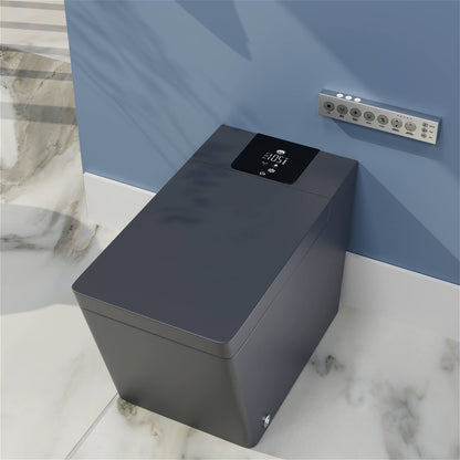 Smart Square One-Piece Floor Toilet with Remote Control and Automatic Cover