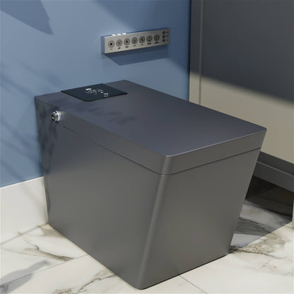 Smart Square One-Piece Floor Toilet with Remote Control and Automatic Cover